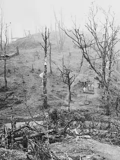Bataille de Kohima