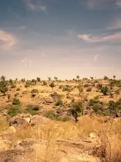 Riversleigh World Heritage Area