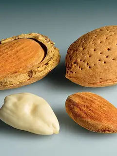 Almond