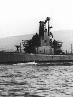 USS Mingo