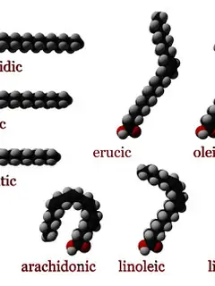 Fatty acid