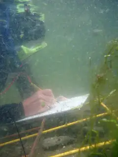 Scientific diving