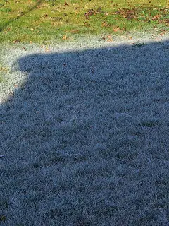 Frost