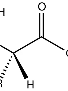Amino acid