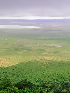 Ngorongoro Conservation Area