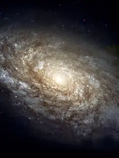 Galaxy
