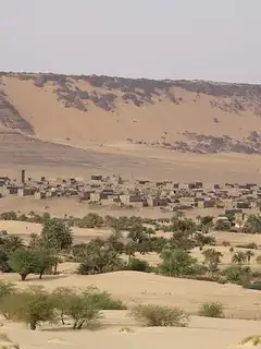 Tichit