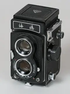 Seagull Camera