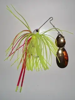 Spin fishing