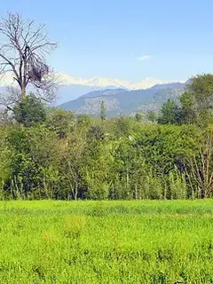 Poonch District, Pakistan