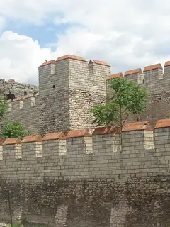 Defensive wall