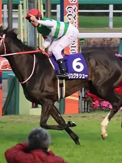 Arima Kinen