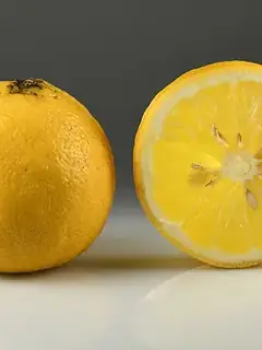 Bergamot orange