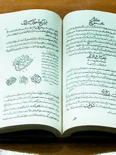 The Canon of Medicine