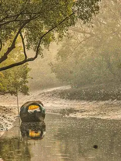 Sundarbans