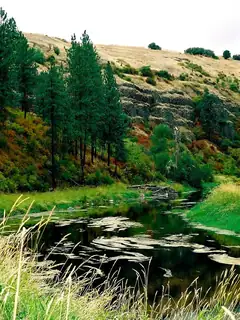 Palouse River