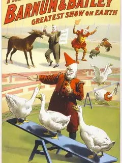 Circus