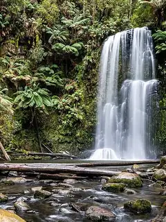 Habitat