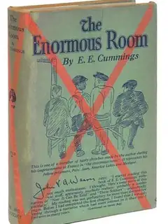 The Enormous Room