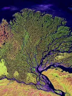 River delta