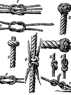 Knot