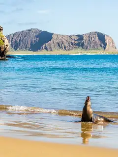 Galápagos Islands