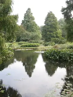 Beth Chatto Gardens