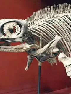 Ophthalmosauridae