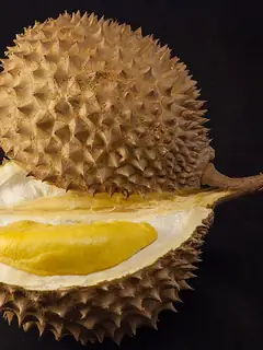 Durian