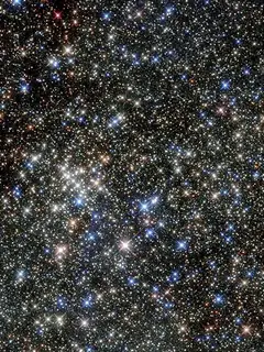 Quintuplet Cluster