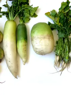 Daikon