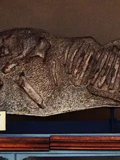 Anoplotherium