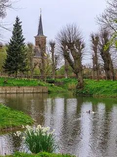 Pond