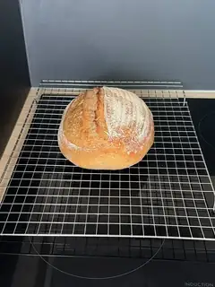 Sourdough