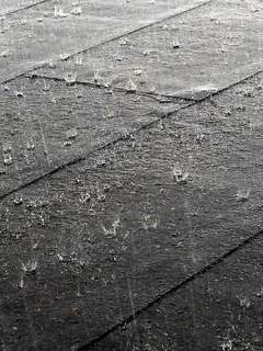 Rain