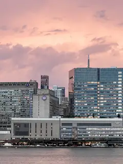 NYU Langone Health