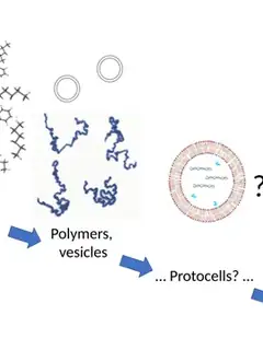 Abiogenesis
