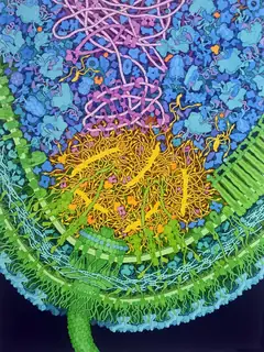 Biologie moléculaire