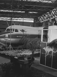 Trans Australia Airlines Flight 538