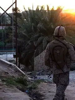 Anbar campaign