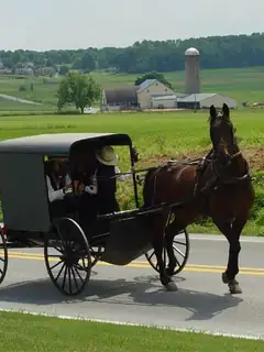 Amish