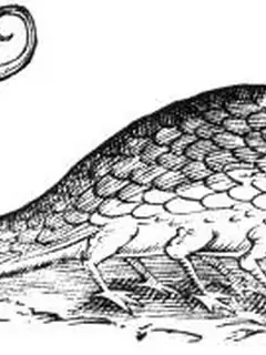Basilisk