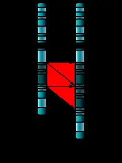 Mutation génétique