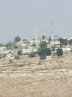 Nabi Salih