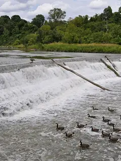 Flood management