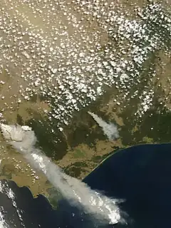 Black Saturday bushfires