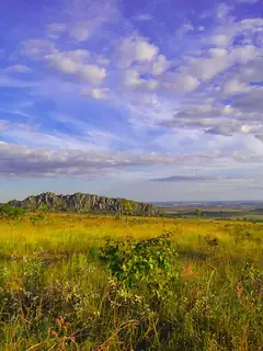 Cerrado