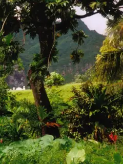 Natural resource