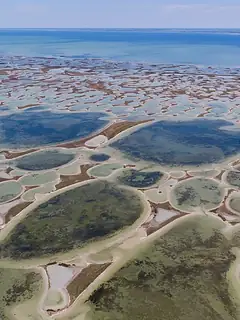 Dzharylhach
