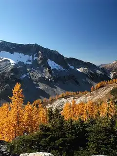 Ecology of the North Cascades
